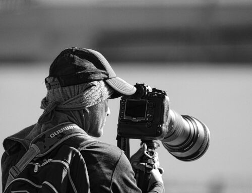 Top 5 Features Every Sports Photography Software Must Have